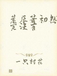 叶辰萧初然更新完没有