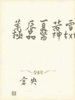 叶辰夏若雪都市极品医神txt