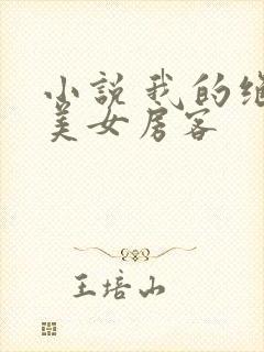 小说 我的绝色美女房客