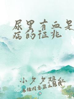 尿里有血是什么病的征兆