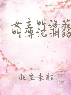 女主叫洛薇男主叫傅沉渊的小说