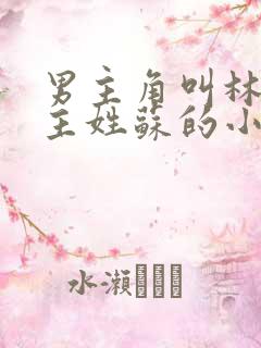 男主角叫林风女主姓苏的小说