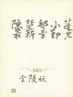 陈楚那小莲小说最新章节免费阅读