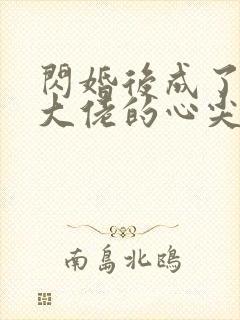 闪婚后成了满级大佬的心尖宠全集