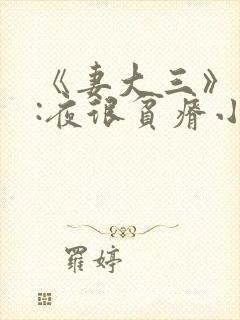 《妻大三》作者:夜很贫瘠小说双男主