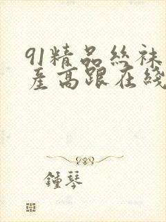 91精品丝袜国产高跟在线