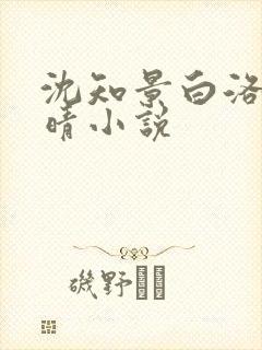 沈知景白洛洛夏晴小说