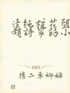 清纯校花堕落记赵诗宁的小说全文阅