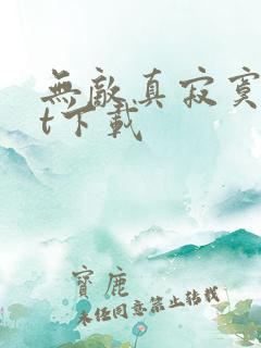 无敌真寂寞txt下载