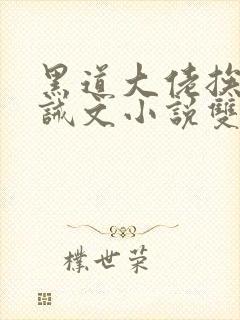 黑道大佬挨揍训诫文小说双男主