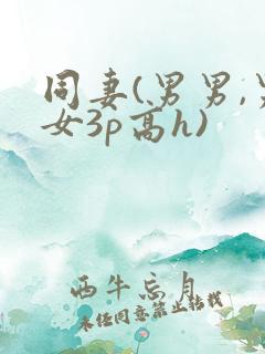 同妻(男男,男女3p高h)