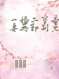 一婚二宝帝少宠妻无节制免费阅读