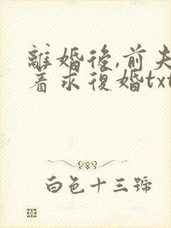离婚后,前夫哭着求复婚txt