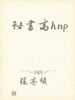 秘书高hnp