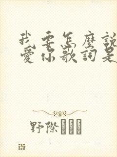 我要怎么说我不爱你歌词是什么歌