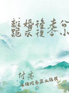 离婚后老公天天跪求复合小说