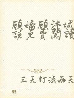 顾娇顾沐城的小说免费阅读