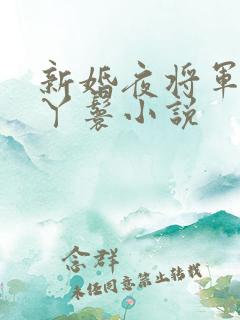 新婚夜将军陪嫁丫鬟小说