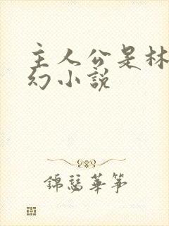 主人公是林天玄幻小说