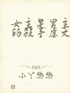 女主是男主培养的杀手虐文