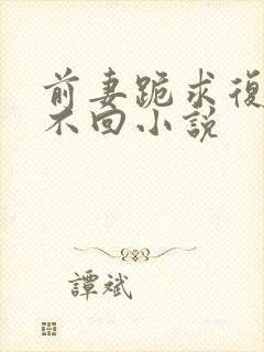 前妻跪求复婚我不回小说