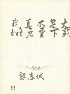 我真不是大明星txt免费下载