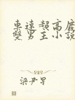 车速超高废文的双男主小说推荐完结