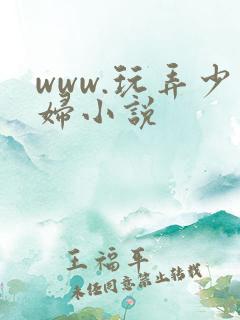 www.玩弄少妇小说