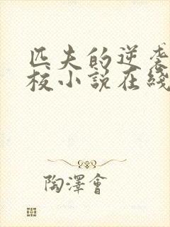 匹夫的逆袭骁骑校小说在线阅读全文免费