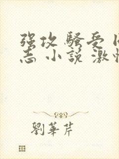 强攻 骚受 同志 小说 激情