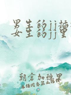 男生的jj插进女生的jj里