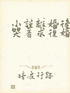 小说离婚后前夫哭着求复婚在线阅读