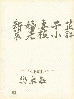 新婚妻子芷珊和菜老板小许小说