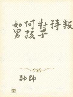 如何对待叛逆的男孩子