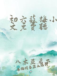 初六苏梅小说全文免费听