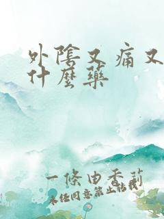 外阴又痛又痒用什么药