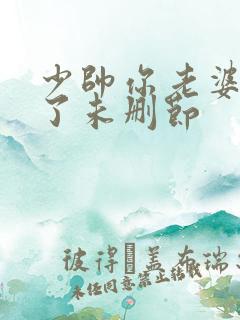 少帅你老婆又跑了未删节