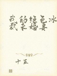 我的绝色冰山总裁未婚妻