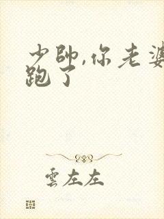 少帅,你老婆又跑了