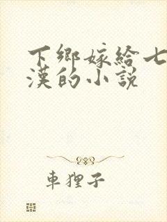 下乡嫁给七零糙汉的小说