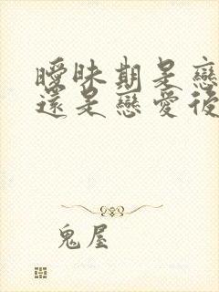 暧昧期是恋爱前还是恋爱后