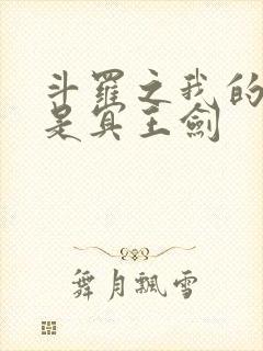 斗罗之我的武魂是冥王剑