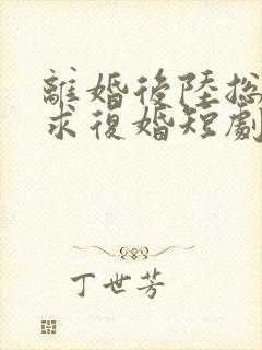 离婚后陆总哭着求复婚短剧