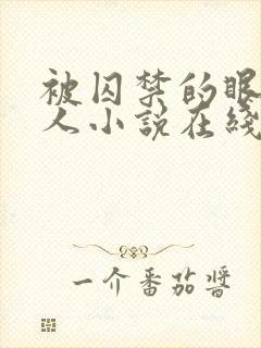 被囚禁的眼盲美人小说在线阅读