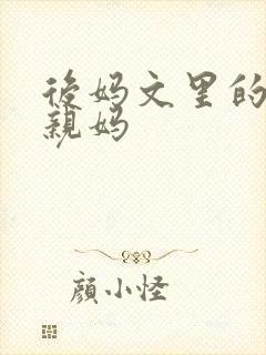 后妈文里的反派亲妈
