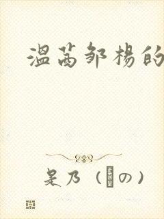 温茜邹杨的小说