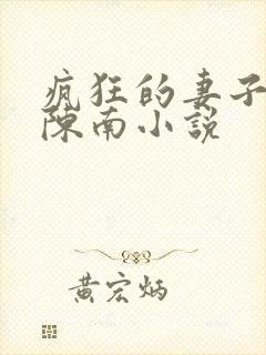 疯狂的妻子林瑶陈南小说