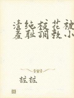 清纯校花被民工羞耻调教小说