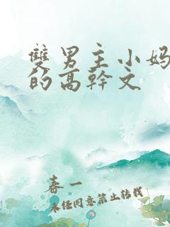 双男主小妈文学的高干文