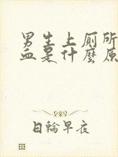 男生上厕所拉出血是什么原因